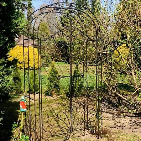 Gepflegtes-ferienhaus-am-dankernsee-haren-emsland Haren