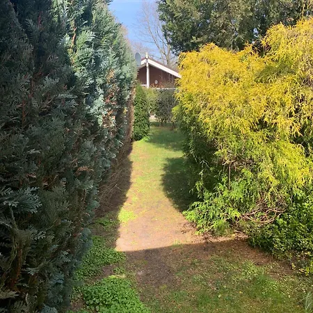 Σπίτι διακοπών Gepflegtes-ferienhaus-am-dankernsee-haren-emsland Haren
