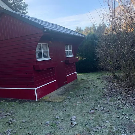 Gepflegtes-ferienhaus-am-dankernsee-haren-emsland Σπίτι διακοπών *