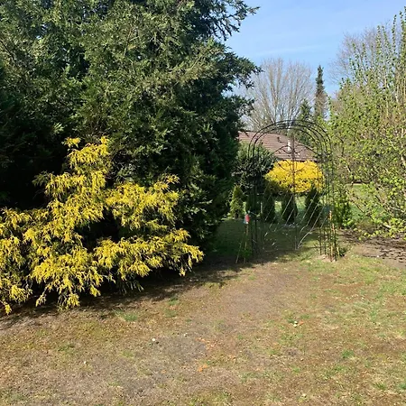 Gepflegtes-ferienhaus-am-dankernsee-haren-emsland Σπίτι διακοπών Haren