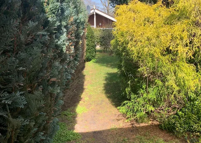 بيت للعطل Gepflegtes-ferienhaus-am-dankernsee-haren-emsland هارن